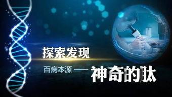 神奇的肽视频,视频带你探索人体健康的秘密力量